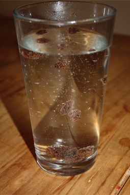 The experiment, in photos.