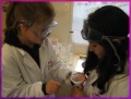 Charlotte and Ella discover how to make solids flow!