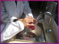 Carefully measuring cabbage potion.