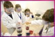 Real cabbage magic potions produced by the team
