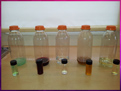 Liquid Behaviour and Viscosity Variations