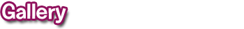 Gallery Gallery